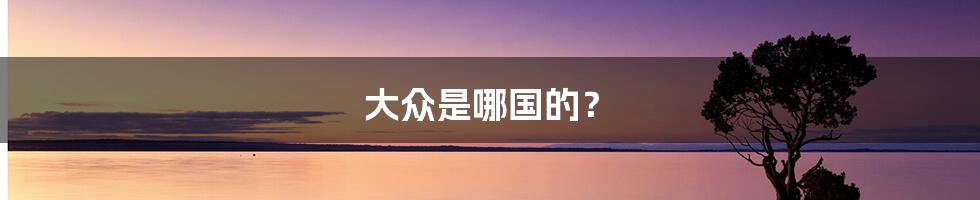 大众是哪国的?