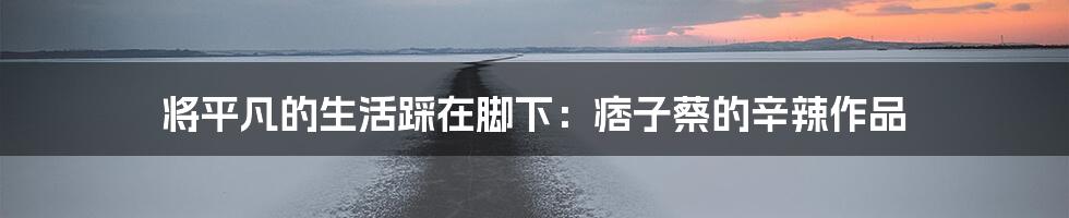 将平凡的生活踩在脚下:痞子蔡的辛辣作品