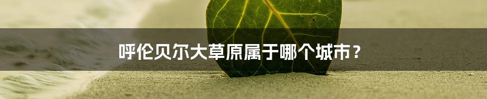 呼伦贝尔大草原属于哪个城市?