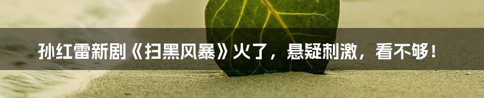 孙红雷新剧《扫黑风暴》火了,悬疑刺激,看不够!