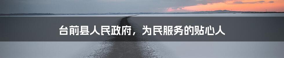 台前县人民政府,为民服务的贴心人