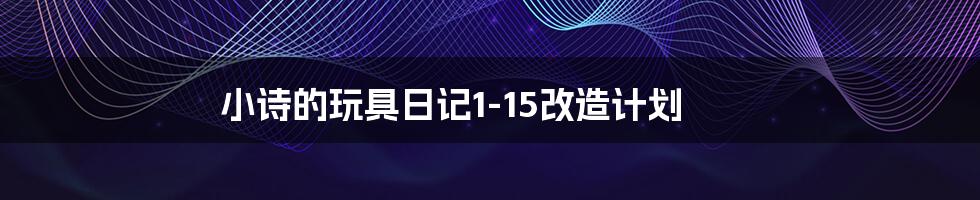 小诗的玩具日记1-15改造计划