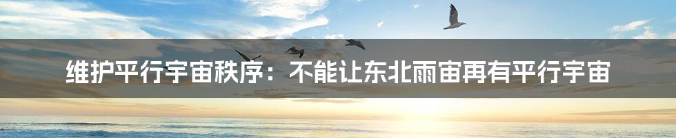 维护平行宇宙秩序:不能让东北雨宙再有平行宇宙