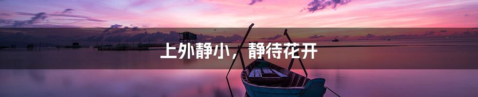 上外静小,静待花开