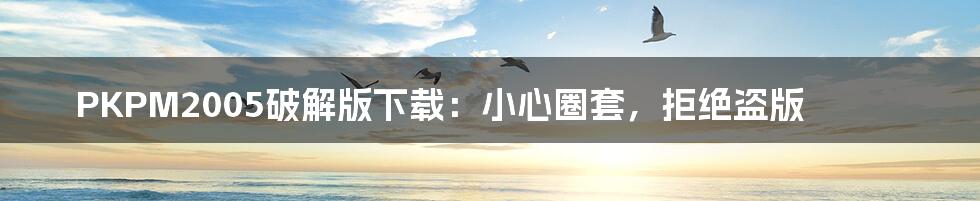 PKPM2005破解版下载:小心圈套,拒绝盗版