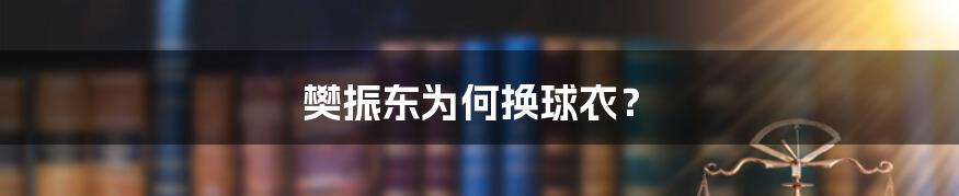 樊振东为何换球衣?