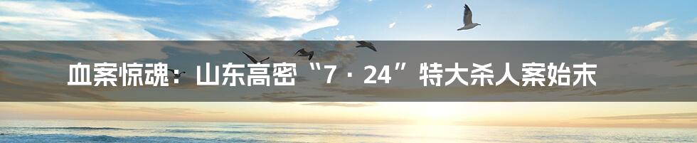 血案惊魂:山东高密“7·24”特大杀人案始末
