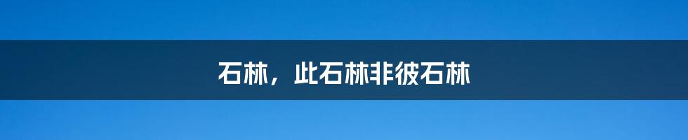石林,此石林非彼石林