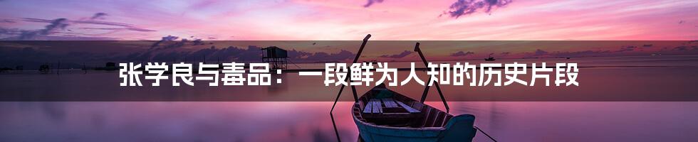 张学良与毒品:一段鲜为人知的历史片段