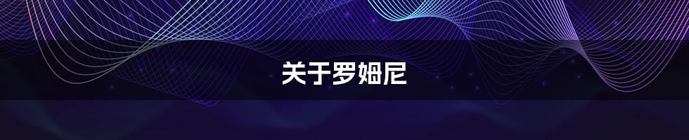 关于罗姆尼
