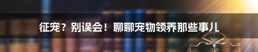 征宠?别误会!聊聊宠物领养那些事儿