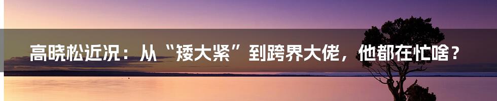 高晓松近况:从“矮大紧”到跨界大佬,他都在忙啥?