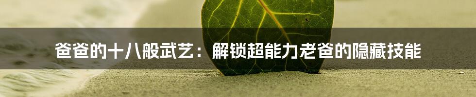 爸爸的十八般武艺:解锁超能力老爸的隐藏技能