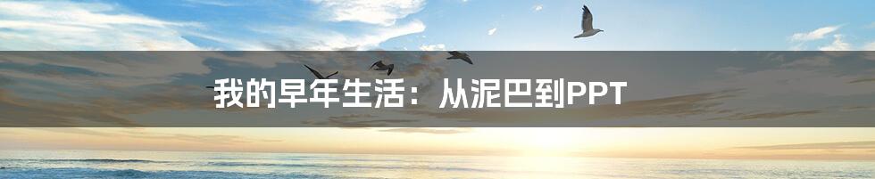 我的早年生活:从泥巴到PPT