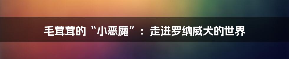 毛茸茸的“小恶魔”:走进罗纳威犬的世界