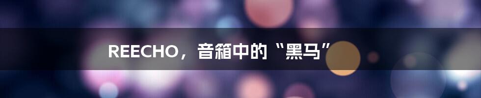REECHO,音箱中的“黑马”
