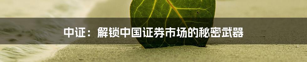 中证:解锁中国证券市场的秘密武器