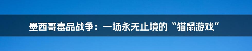 墨西哥毒品战争:一场永无止境的“猫鼠游戏”