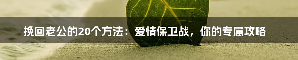 挽回老公的20个方法:爱情保卫战,你的专属攻略