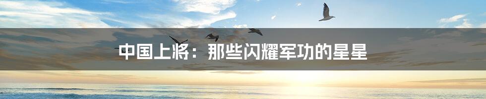 中国上将:那些闪耀军功的星星