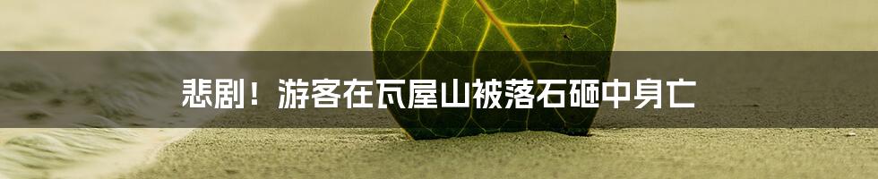 悲剧!游客在瓦屋山被落石砸中身亡