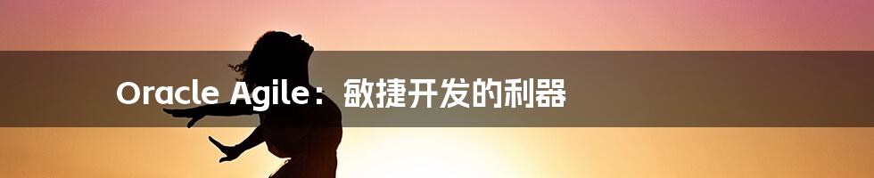 Oracle Agile:敏捷开发的利器