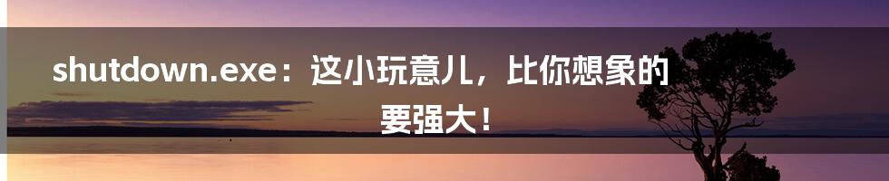 shutdown.exe:这小玩意儿,比你想象的要强大!