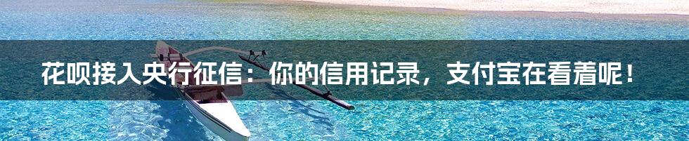 花呗接入央行征信:你的信用记录,支付宝在看着呢!