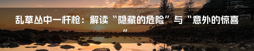 乱草丛中一杆枪:解读“隐藏的危险”与“意外的惊喜”