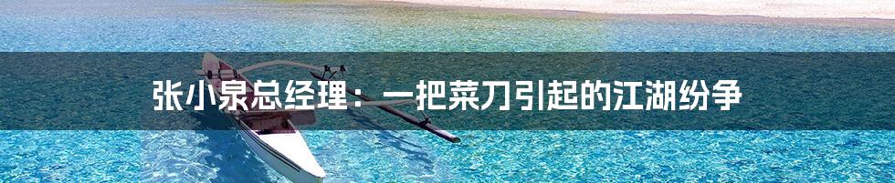 张小泉总经理:一把菜刀引起的江湖纷争