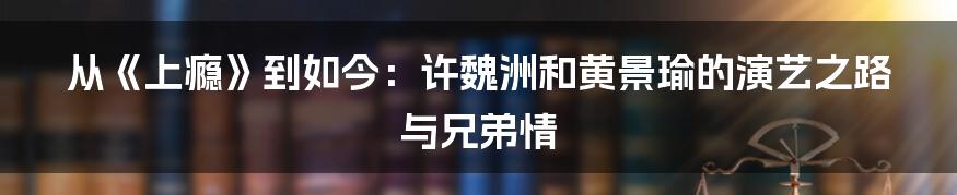 从《上瘾》到如今:许魏洲和黄景瑜的演艺之路与兄弟情