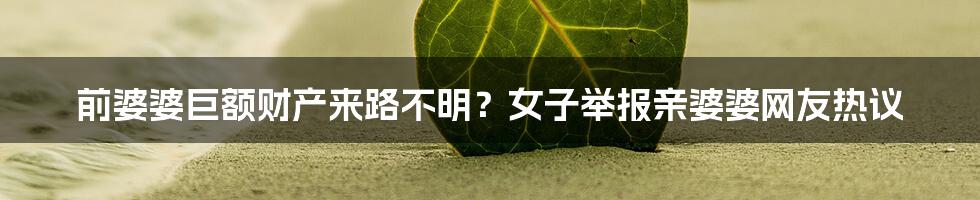 前婆婆巨额财产来路不明?女子举报亲婆婆网友热议