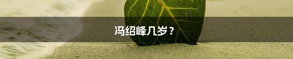 冯绍峰几岁?