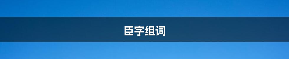 臣字组词