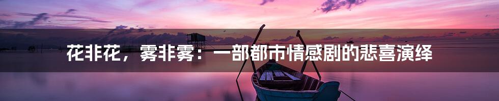 花非花,雾非雾:一部都市情感剧的悲喜演绎