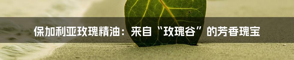 保加利亚玫瑰精油:来自“玫瑰谷”的芳香瑰宝