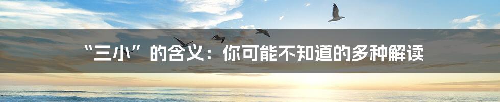 “三小”的含义:你可能不知道的多种解读