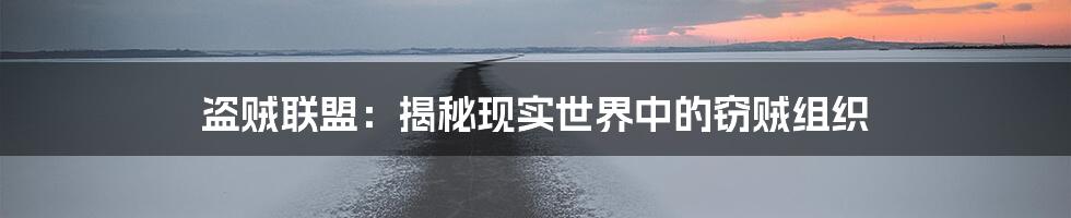 盗贼联盟:揭秘现实世界中的窃贼组织