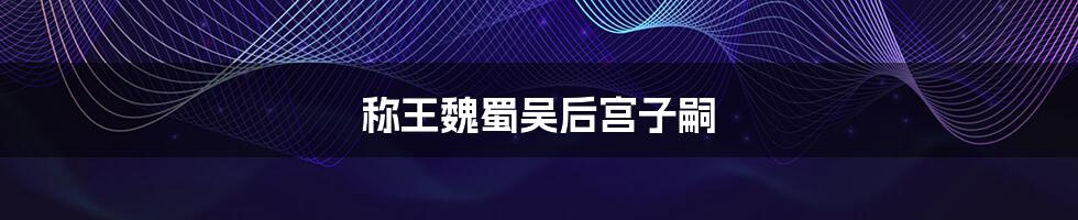 称王魏蜀吴后宫子嗣