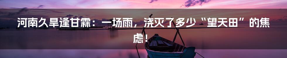 河南久旱逢甘霖:一场雨,浇灭了多少“望天田”的焦虑!