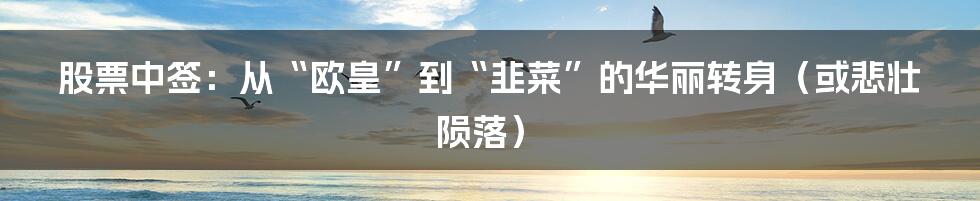 股票中签:从“欧皇”到“韭菜”的华丽转身(或悲壮陨落)