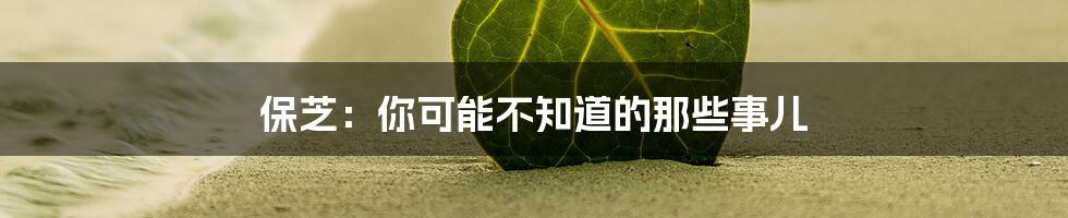 保芝:你可能不知道的那些事儿