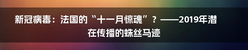 新冠病毒:法国的“十一月惊魂”?——2019年潜在传播的蛛丝马迹