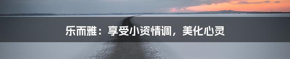 乐而雅：享受小资情调，美化心灵