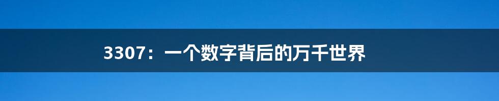 3307:一个数字背后的万千世界