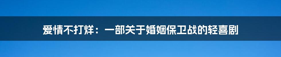 爱情不打烊:一部关于婚姻保卫战的轻喜剧