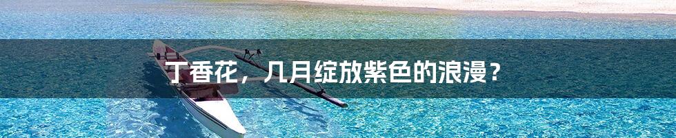 丁香花,几月绽放紫色的浪漫?