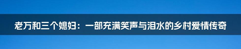 老万和三个媳妇:一部充满笑声与泪水的乡村爱情传奇