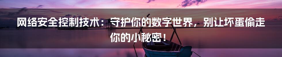 网络安全控制技术:守护你的数字世界,别让坏蛋偷走你的小秘密!