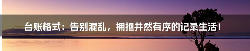 台账格式：告别混乱，拥抱井然有序的记录生活！